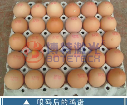 雞蛋可以用激光噴碼機(jī)嗎？